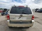 2010 Ford Escape Xlt for Sale in Pekin, IL - Front End