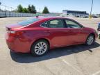 2013 Lexus Es 300H იყიდება Moraine-ში, OH - Front End