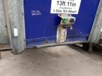 2013 TRAI TRAILER for sale at Copart WOLVERHAMPTON