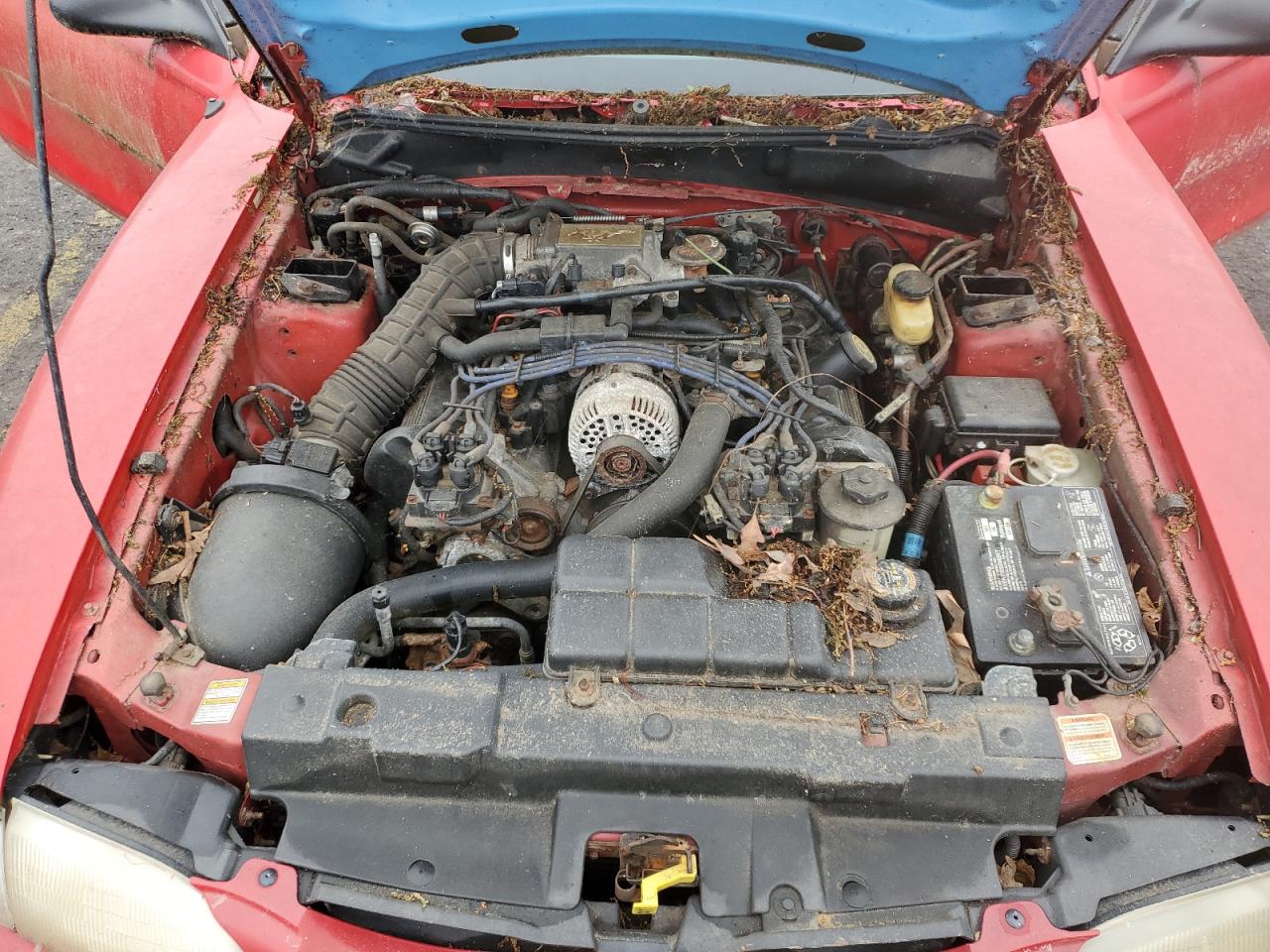 1997 Ford Mustang Gt VIN: 1FALP45X9VF117060 Lot: 54972685