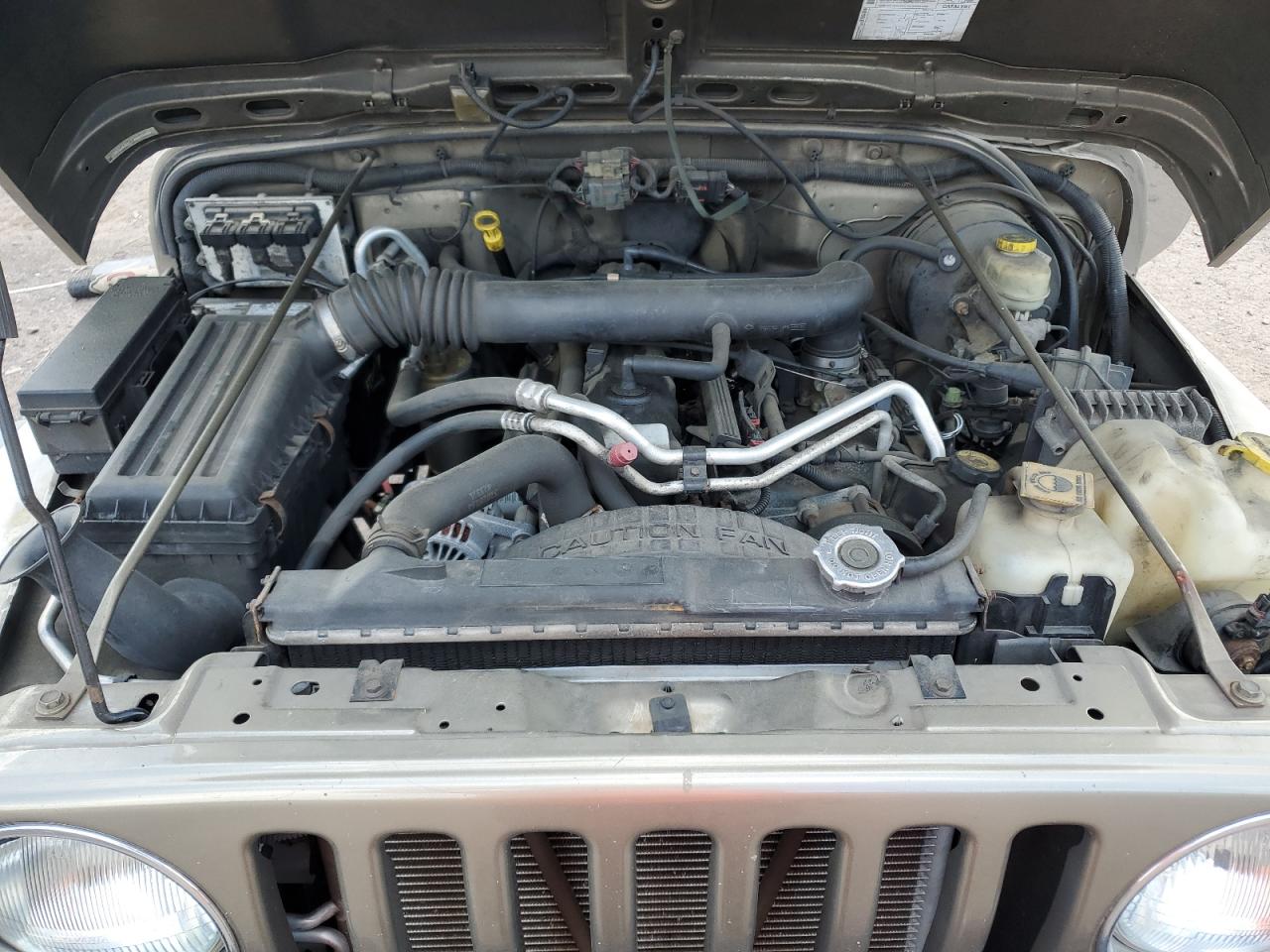 2004 Jeep Wrangler / Tj Sahara VIN: 1J4FA59SX4P791038 Lot: 56154455