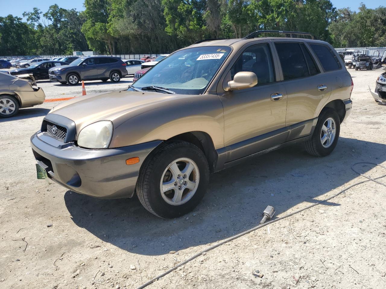 2004 Hyundai Santa Fe Gls de vânzare în Ocala, FL - Side