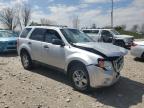 2010 Ford Escape Xlt for Sale in Wayland, MI - Front End