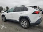 2021 Toyota Rav4 Le for Sale in Rancho Cucamonga, CA - Front End