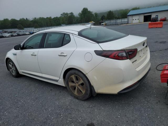 Sedans KIA OPTIMA 2015 Biały