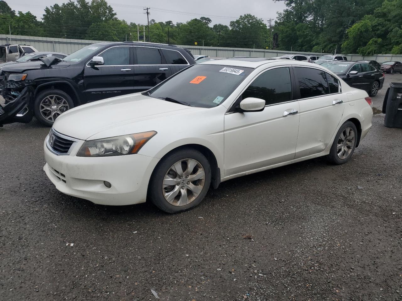 2009 Honda Accord Exl للبيع في Shreveport، LA - Burn