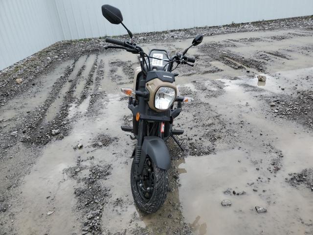  HONDA NVA110 B 2022 Цвет загара
