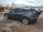 2024 Tesla Model Y  for Sale in Colorado Springs, CO - Rear End