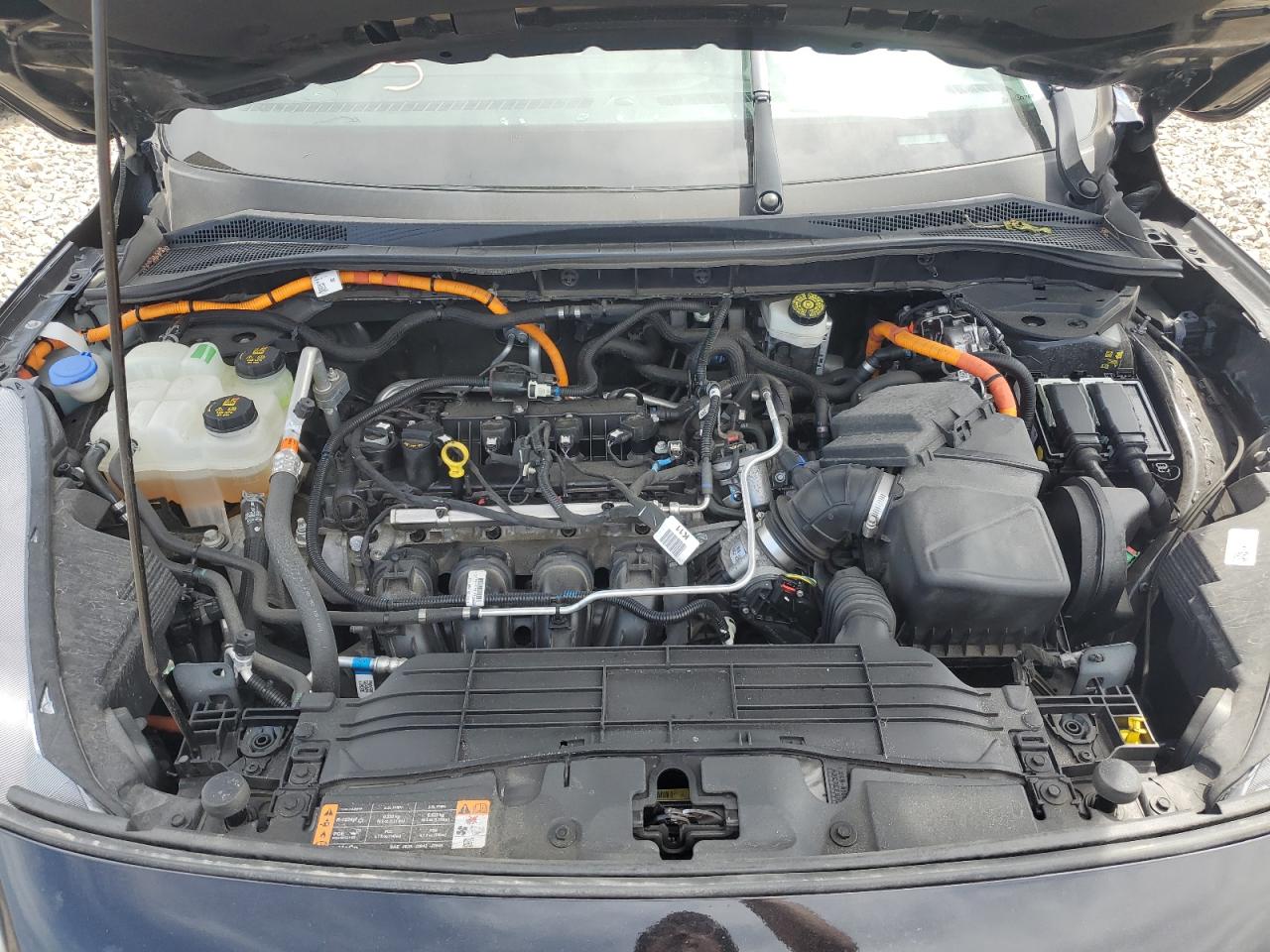 2021 Ford Escape Sel VIN: 1FMCU0CZ6MUB01727 Lot: 55249465