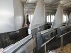 2005 C & C Horse Trailer იყიდება Wichita-ში, KS - Front End