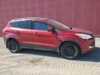 2015 Ford Escape Se zu verkaufen in London, ON - Minor Dent/Scratches