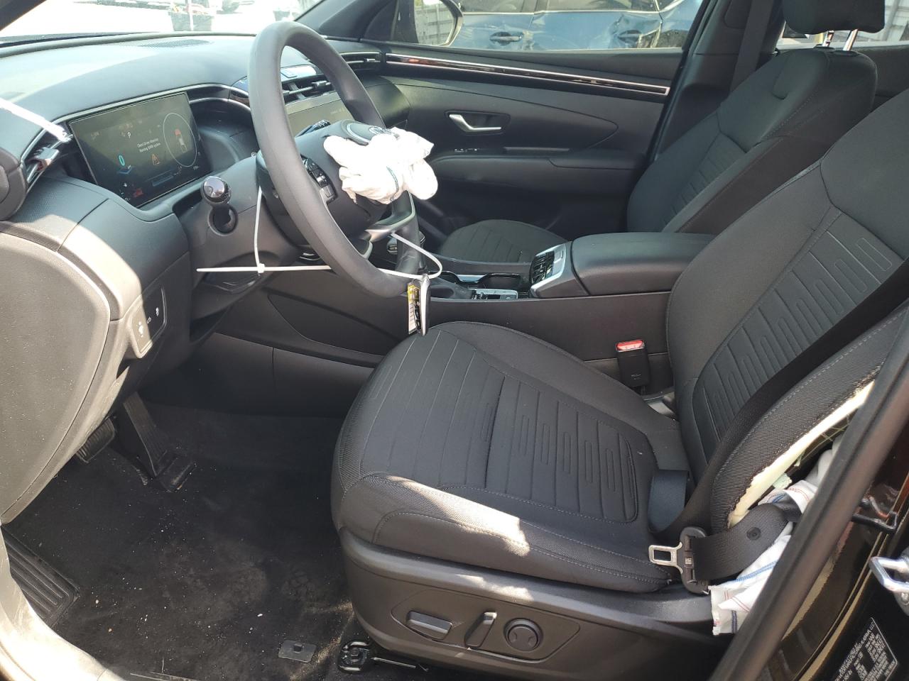 2024 Hyundai Santa Cruz Sel VIN: 5NTJC4AE5RH101064 Lot: 55305455
