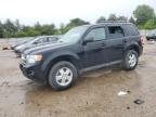 2010 Ford Escape Xlt   for Sale in Elgin, IL - Rear End