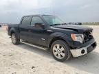 Taylor, TX에서 판매 중인 2013 Ford F150 Supercrew - Front End