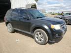 2010 Ford Escape Limited na sprzedaż w Portland, MI - Side