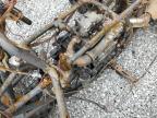 2004 Honda Trx400 Fa zu verkaufen in Grenada, MS - Burn