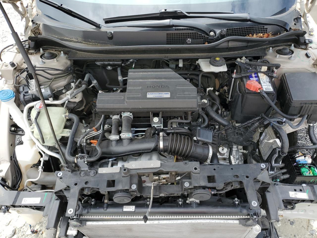 5J6RW1H83KL005100 HONDA CRV 2019