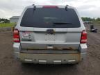 2011 Ford Escape Limited იყიდება Columbia Station-ში, OH - Front End