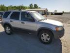 2002 Ford Escape Xlt for Sale in Pekin, IL - Rear End