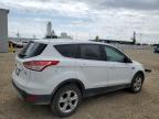 2014 Ford Escape Se for Sale in Cedar Rapids, IA - Hail
