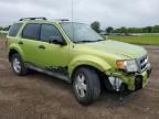 2011 Ford Escape Xlt   for Sale in Columbia Station, OH - Front End