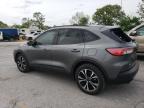 2021 Ford Escape Se for Sale in Rogersville, MO - Front End