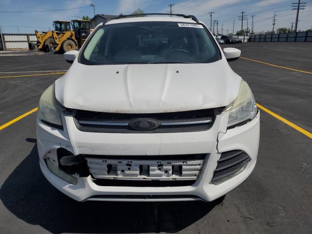 Паркетники FORD ESCAPE 2014 Белый