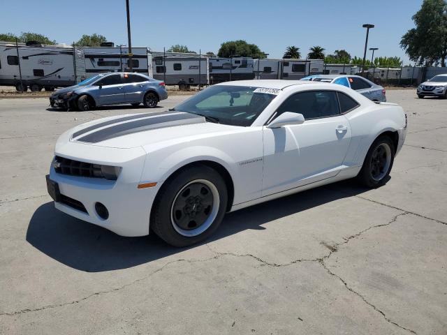  CHEVROLET CAMARO 2013 Білий