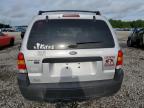 2006 Ford Escape Xlt იყიდება Memphis-ში, TN - Front End