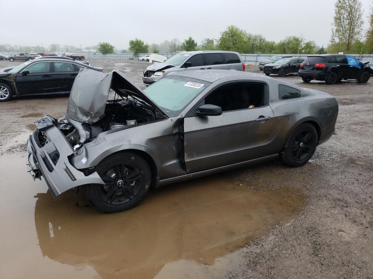 2014 Ford Mustang للبيع في London، ON - Front End