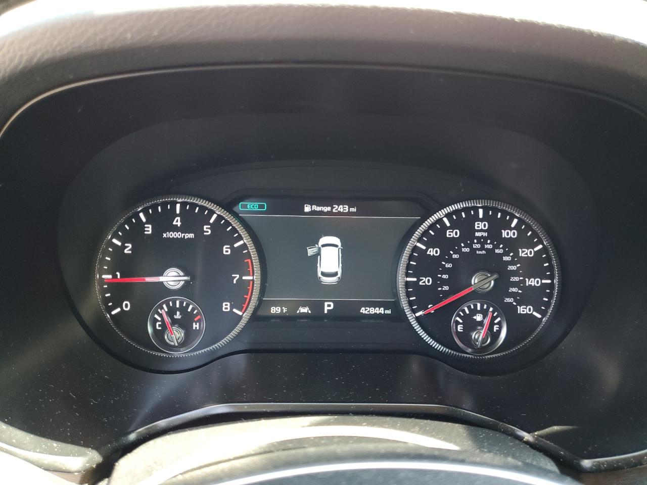 2022 Kia Telluride Sx VIN: 5XYP5DHC5NG206700 Lot: 57030445