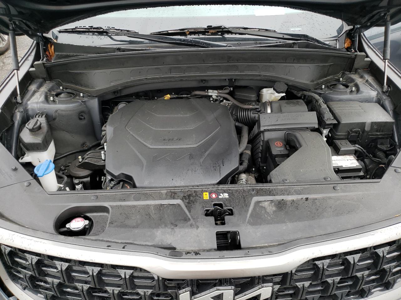 2023 Kia Telluride Sx VIN: 5XYP5DGC5PG383252 Lot: 56823355