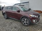 2017 Kia Sorento Ex продається в Reno, NV - Rear End