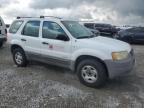 2001 Ford Escape Xls за продажба в Earlington, KY - Hail