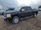 2008 Chevrolet Silverado K1500 for Sale in Greenwood, NE - Hail
