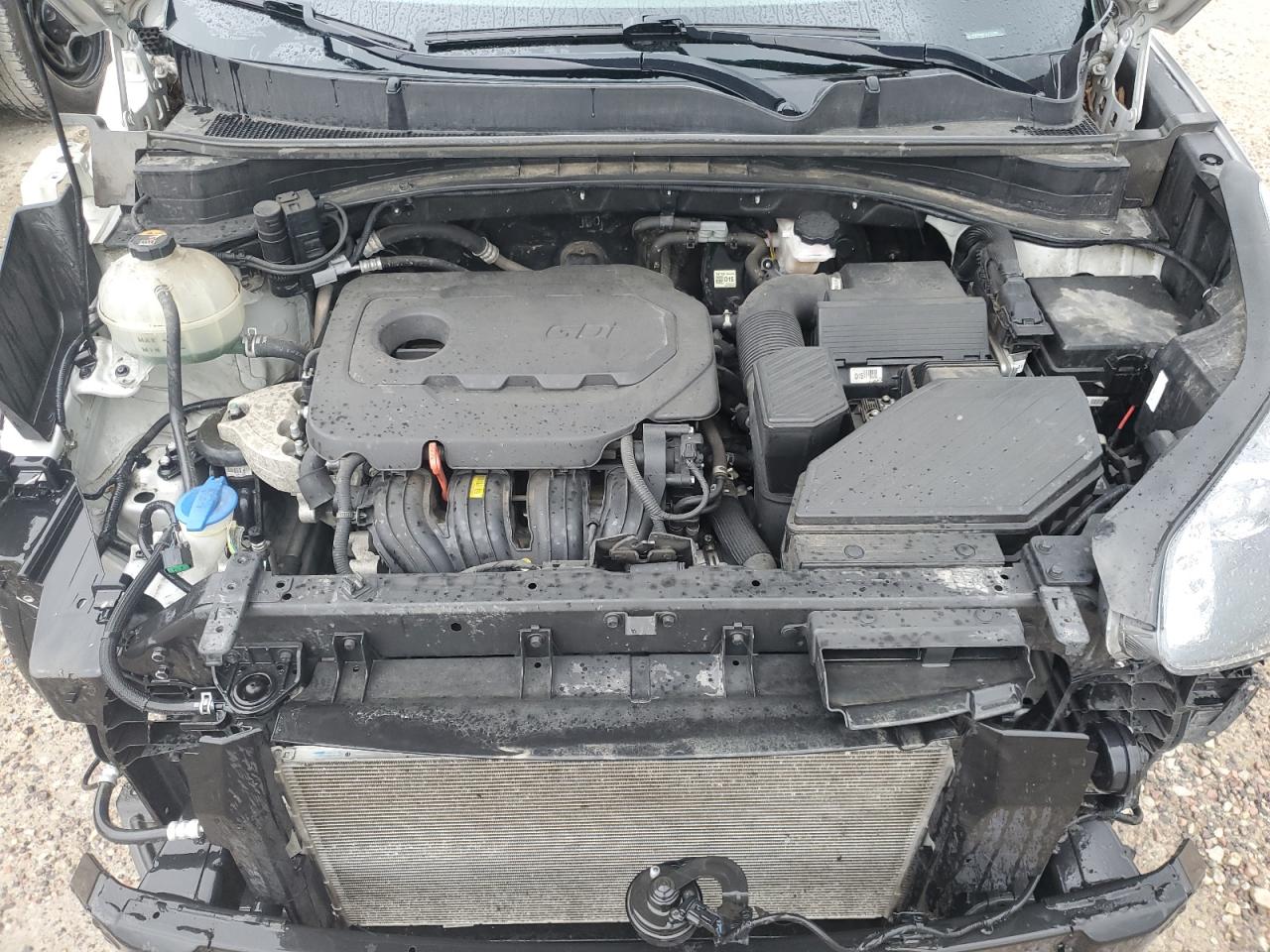 2020 Kia Sportage Lx VIN: KNDPM3AC7L7773783 Lot: 56216775