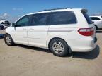 2005 Honda Odyssey Exl იყიდება Wilmer-ში, TX - Front End