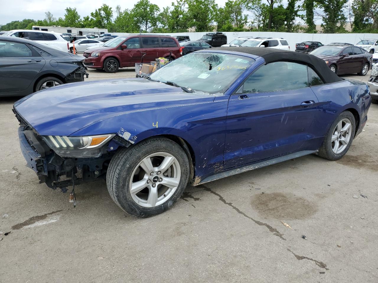 1FATP8EM3G5329331 FORD ALL Models 2016