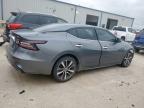 2019 Nissan Maxima S იყიდება Haslet-ში, TX - Front End