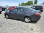 2008 Toyota Camry Le en Venta en Arlington, WA - Minor Dent/Scratches