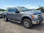 2013 Ford F150 Supercrew for Sale in Hillsborough, NJ - Mechanical