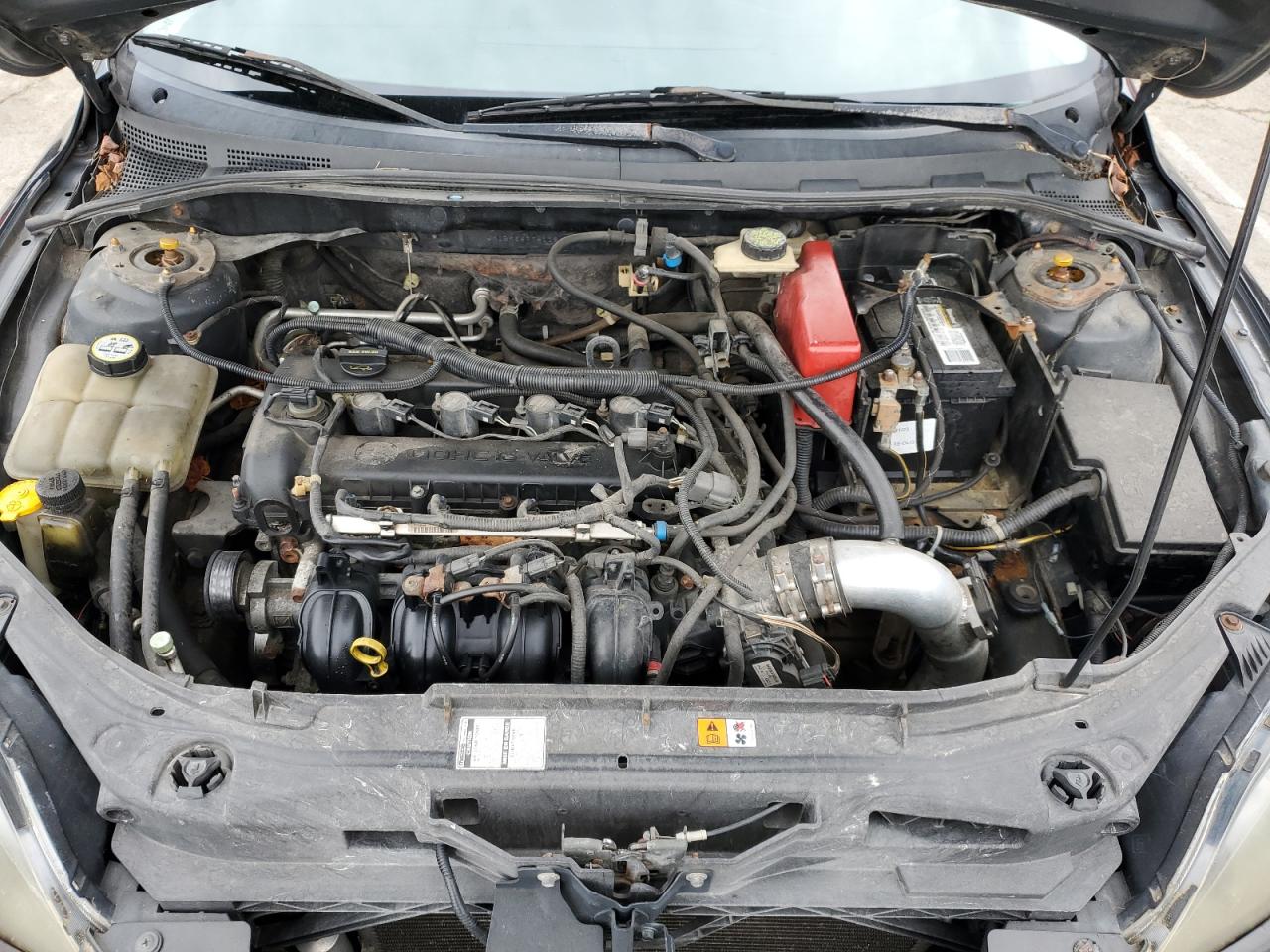 2004 Mazda 3 Hatchback VIN: JM1BK343741194051 Lot: 56667055