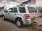 2012 Ford Escape Xlt for Sale in Ham Lake, MN - Front End