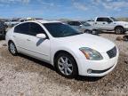 2004 Nissan Maxima Se for Sale in Magna, UT - Rear End