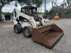 Riverview, FL에서 판매 중인 2010 Bobcat S300 - Minor Dent/Scratches