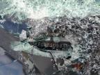 2023 Toyota Sienna Xse იყიდება Tanner-ში, AL - All Over