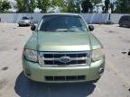 2008 Ford Escape Xlt for Sale in Bridgeton, MO - Rear End