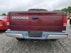 2002 Dodge Dakota Slt for Sale in Walton, KY - Front End