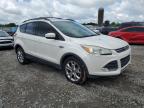2014 Ford Escape Se de vânzare în Montgomery, AL - Minor Dent/Scratches