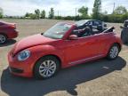 2014 VOLKSWAGEN BEETLE    à vendre chez Copart QC - MONTREAL